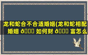 龙和蛇合不合适婚姻(龙和蛇相配婚姻 🍀 如何财 🐝 富怎么样)